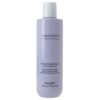 Farmavita Amethyste Blonde Hyaluronic Conditioner 250ml - Haarmarkt.nl